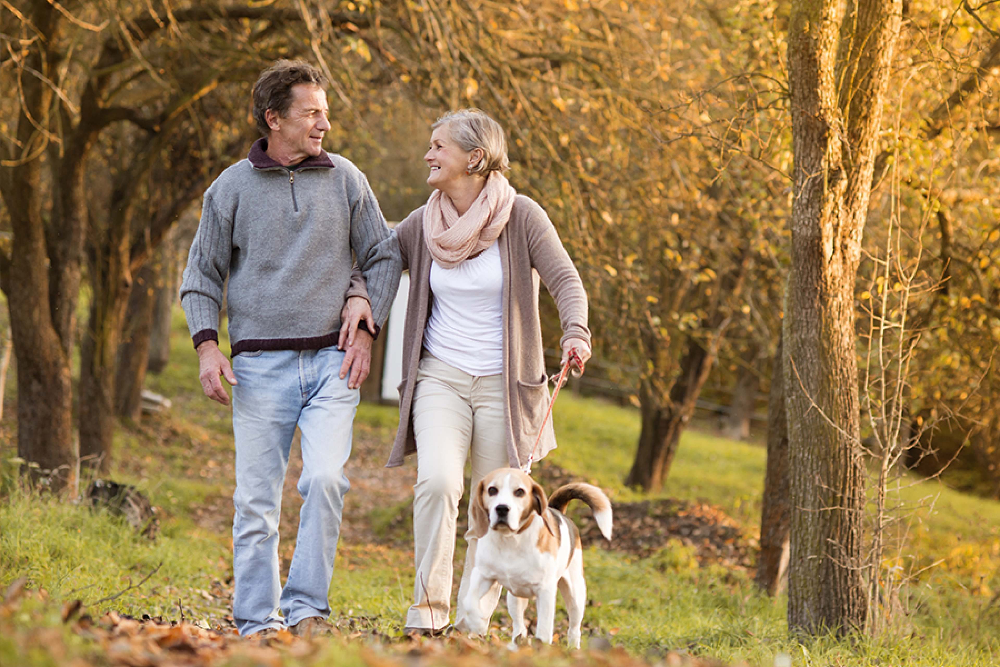 A couple is walking a dog on a wood-lined trail.